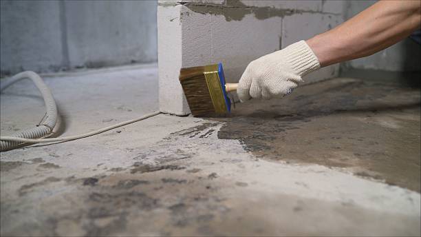 Trusted Waterproofing service in Castalian Springs, TN - SGP Waterproofing